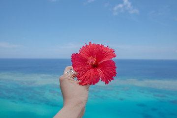 沖縄　宮古島　離島　写真素材　ハイビスカス　絶景