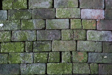 Exterior brick wall weathered.Brick floor with green lichen.