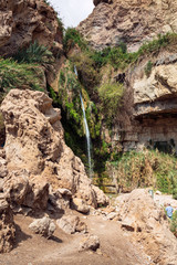 a tourist viewing the david falls on the david stream in the ein gedi park in israel showing the cliffs and tropical vegetation growing in the desert