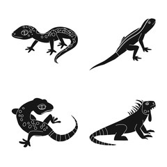 Vector design of zoo and environment sign. Collection of zoo and reptile stock vector illustration.