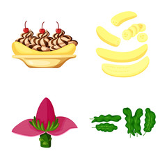 Vector illustration of tropical and ripe symbol. Collection of tropical and potassium stock vector illustration.