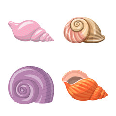Isolated object of seashell and mollusk sign. Set of seashell and seafood vector icon for stock.