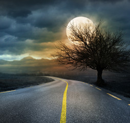 night scary landscape with dead tree and full moon