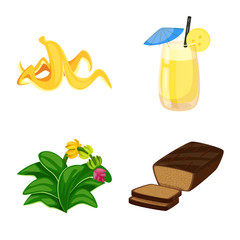 Isolated object of tropical and ripe sign. Collection of tropical and potassium vector icon for stock.