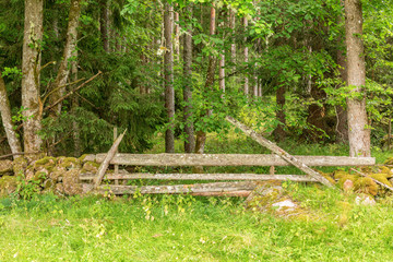 Fence at a meadow in the forest edge