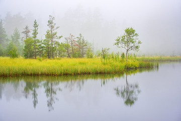 Misty morning at a lake in a woodland with water reflections