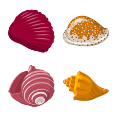 Vector illustration of seashell and mollusk symbol. Collection of seashell and seafood stock vector illustration.