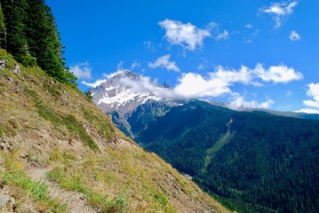 Mount Hood peak in summer 6