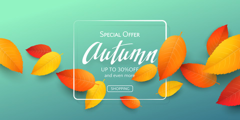 Fall horizontal banner with 3D realistic colored leaves, frame and text Autumn on blue-green background. Vector seasonal template with falling foliage and lettering for flyers with discount offers.