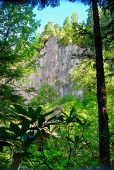 Fototapeta premium Cliff in the forest, Timberline Trail