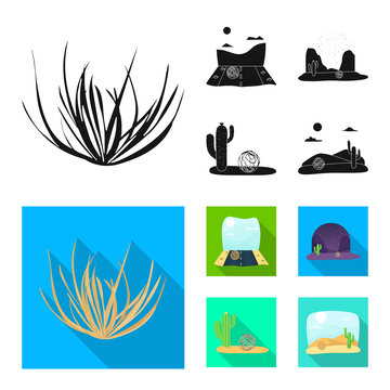 Isolated object of landscape and nature sign. Set of landscape and environment vector icon for stock.