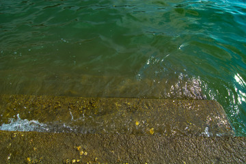 Close up of barnacles encrusted on stair at the beach