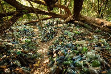 a path through old discarded glass