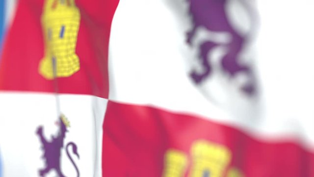 Flying flag of Castile and Leon, an autonomous community in Spain. Close-up, loopable 3D animation