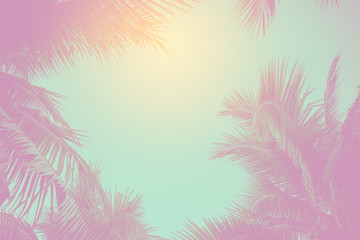 Fototapeta na wymiar Tropical palm leaves on pastel background for Summer concept and Spring lifestyle with copy space.