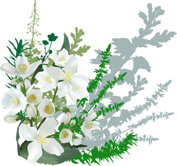 bunch with jasmine flowers isolated on white