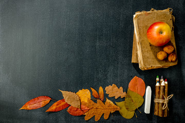 School blackboard background with some autumn stationery details.