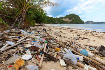 Beach plastic pollution