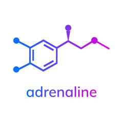 Adrenaline chemical formula on white background © uladz_a