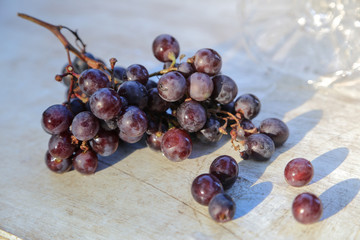 Dark blue grape on white background.Full depth of field