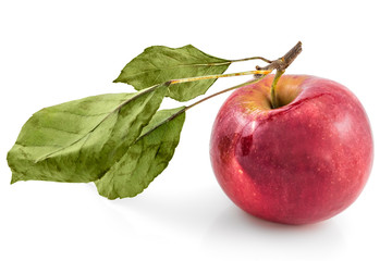 Raw organic domestic Serbian jonathan apple with leaves, isolated on white background