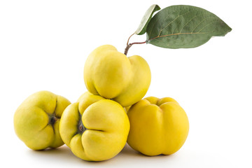 Pile of fresh ripe yellow quinces with leaves, isolated on white background