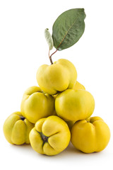 Bunch of fresh ripe yellow quinces with leaves, isolated on white background