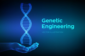 DNA sequence in hand. Wireframe DNA molecules structure mesh. DNA code editable template. Science and Technology concept. Vector illustration.