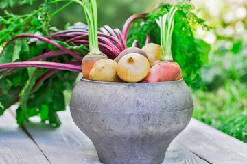 Still life of of vegetable Root crop