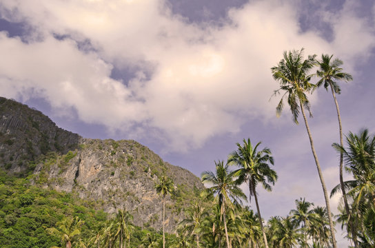 Tropical island with palm trees, forest and clouds as background image. Caramoan Island, Philippines.