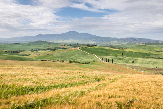 Terrapille farmhouse and road. Pienza, Tuscany, Italy.