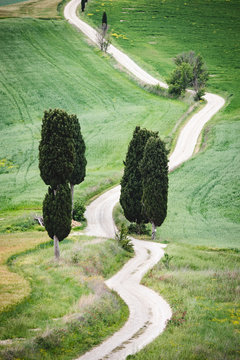 Terrapille farmhouse and road. Pienza, Tuscany, Italy.