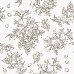 Honeysuckle flowers and berries seamless pattern. Lonicera japonica. Vector illustration. Design for textile and packaging. Engraving style.