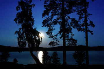 Fototapete bei efototapeten.de bestellen   