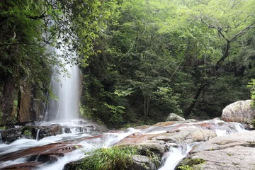 Tuinposter Watervallen 愛知　滝  © Last Adventurer K
