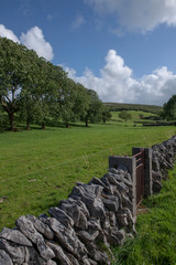 Countryside Ireland wall