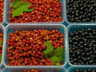 small strawberries in a plastic box at  marketplace showcase