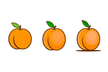 Set of apricot icons isolated on white background. Juicy and ripe summer fruit. Flat vector illustration