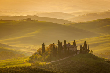 Fantastic sunny spring field in Italy, tuscany landscape morning foggy famous Cypress trees