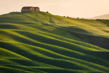 Fototapeta premium Fantastic sunny spring field in Italy, tuscany landscape morning foggy famous Cypress trees