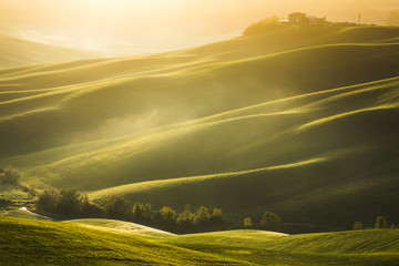 Obraz premium Fantastic sunny spring field in Italy, tuscany landscape morning foggy famous Cypress trees