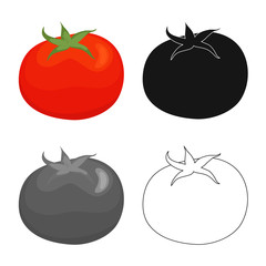 Vector illustration of tomato and red symbol. Set of tomato and vegan vector icon for stock.