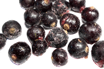 frozen berries on white background, black currant, isolated
