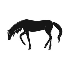 Obraz premium Vector design of running and horse logo. Collection of running and hoofed stock vector illustration.