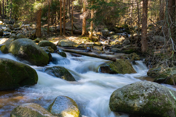 Rocky mountain stream and gum trees in background.