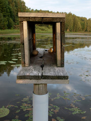 empty duck house in the center of a lake, sunset lights, beautiful lake