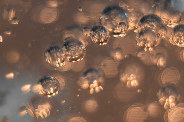 Bubble