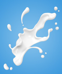 white milk or yogurt splash isolated on blue background.