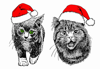 Graphical set of cats in Santa Claus hat isolated on white background,vector new year illustration