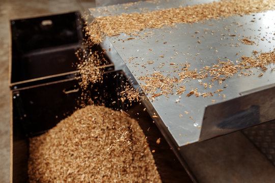 Photo of process in tobbacco factory for cigarette industry.